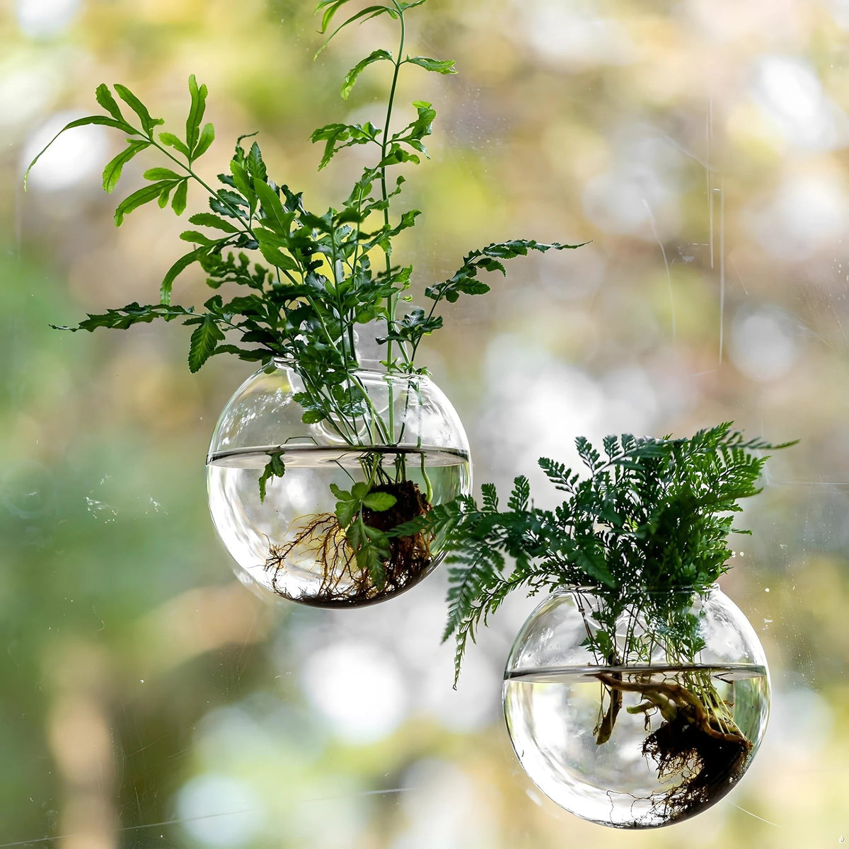 Hanging Glass Propagation Vase for Plant Cuttings